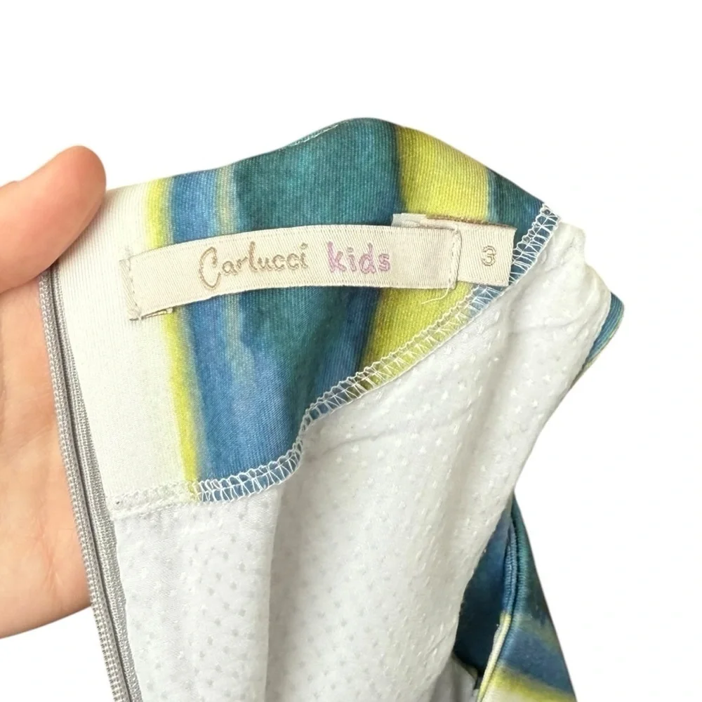 Carlucci Kids Sleeveless Feather Print Dress Girl Size 3T Gray Blue Formal Lined